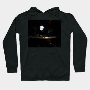 Garden Solar Light in the Dark Hoodie